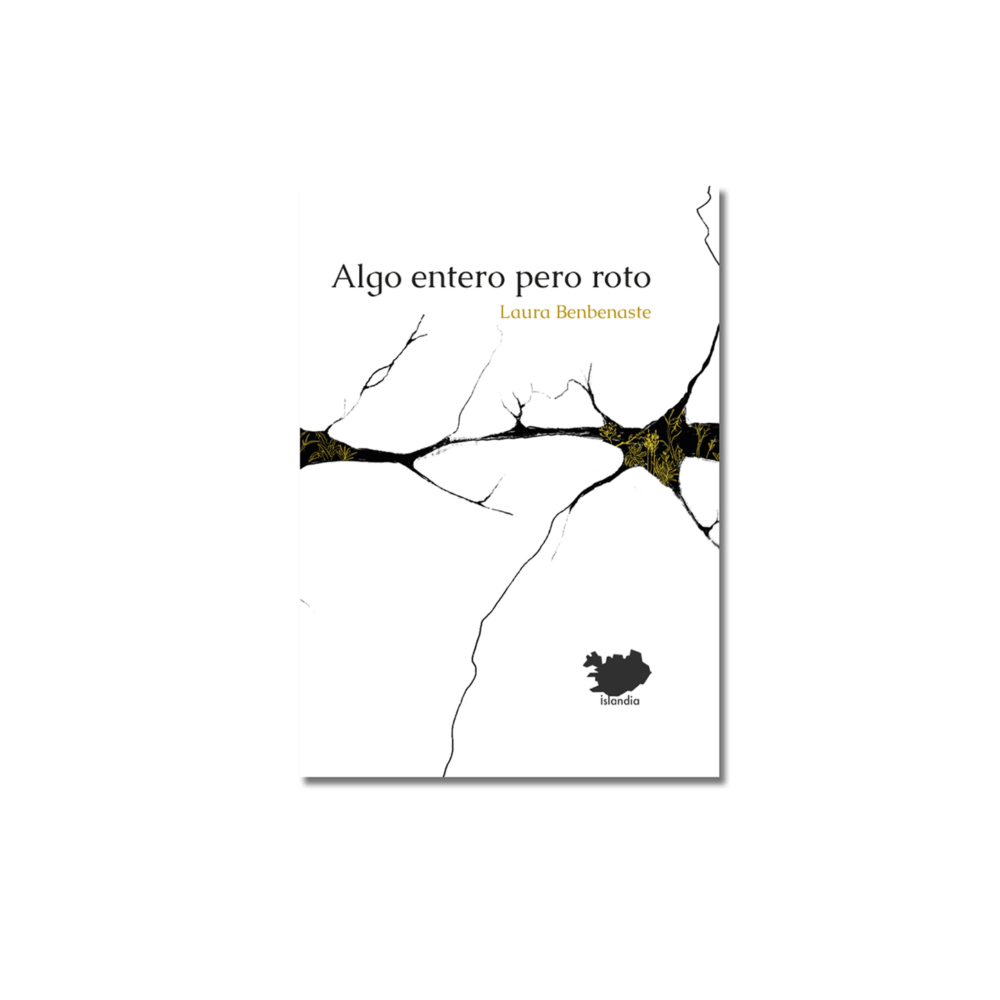 Algo entero pero roto